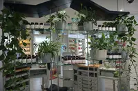 Daferner Apotheke Am Stadtgarten