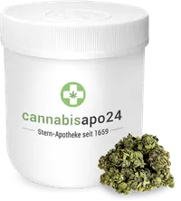 Cannabisapo24