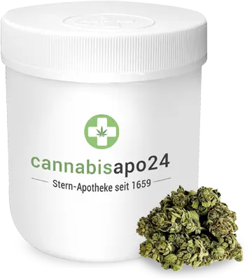 Cannabisapo24