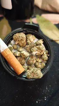 Cannabis-kurier