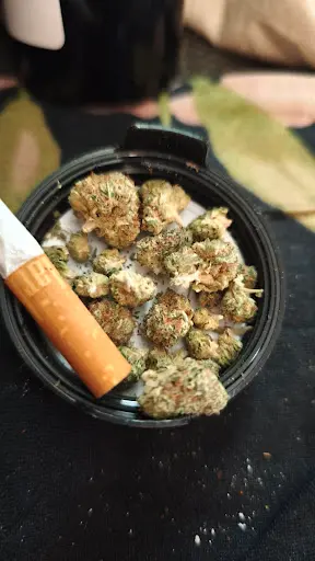 Cannabis-kurier