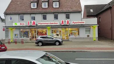 Hammersbecker Apotheke Inh.dr.claudia Dähnhardt E.kfr.