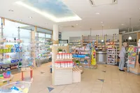 Apotheke Am St. Joseph-stift | Mutter Und Kind Apotheke Dresden