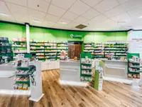 Löwen-apotheke