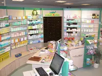 Krokodil Apotheke Großenaspe
