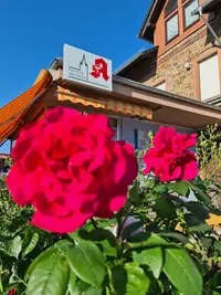Kloster Apotheke