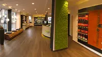 Felsen-apotheke