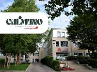 Calmuno – Medizinisches Cannabis Aus Der Barbara Apotheke