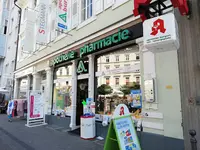 Die Apotheke Am Ludwigsplatz