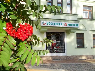Vogelbeer Apotheke