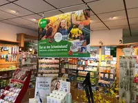 Marien Apotheke