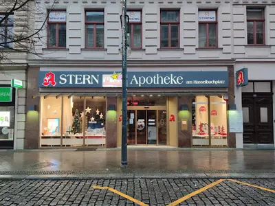Stern-apotheke Am Hasselbachplatz
