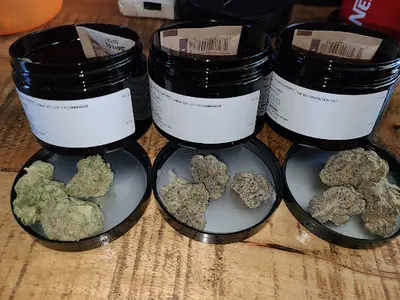 Angelweed