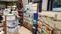 Tulpen Apotheke Am Holländischen Viertel