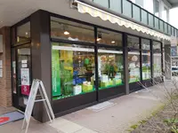 Eulen Apotheke Quickborn