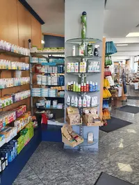 Stadt-apotheke
