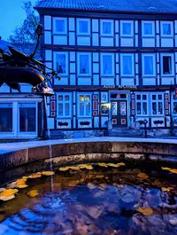 Adler Apotheke