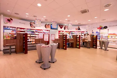 Pinguin Apotheke, Stade