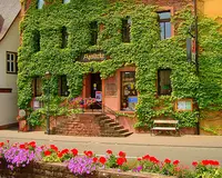 Stadt-apotheke