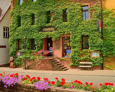 Stadt-apotheke