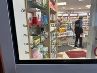 Löwen-apotheke