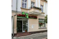 Ahorn Apotheke