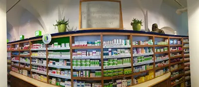 Löwen-apotheke Waldheim